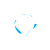 Birds aren't real birdwatching