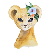 Bébé lion