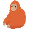 Orangutan