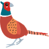 pheasant