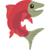 salmon