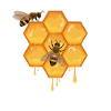 Bees and beekeepers