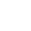 Tennis player