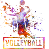 volley-ball