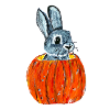 Rabbit Popping Out Of Pumpkin