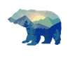 Bear Silhouette Mountain Wildlife Animal