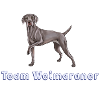 Team Weimaraner