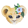 Bébé tête de lion