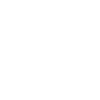 Traveler
