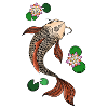Mandala Koi colour