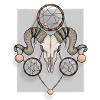 Skull with dream catcher