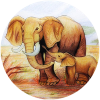 Elephants in Africa