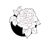 Peony black
