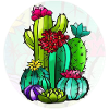 Cactus and flowers