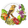 Bird Nature and flowers