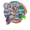 climbing koala bouldering
