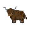 Scottish Highland Cattle