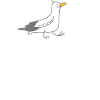 Capitaine et mouette
