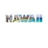 Hawaii - Hawaii party