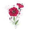 Aquarelle fleur