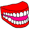 Dentition teeth