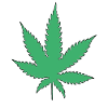 Cannabis leaf