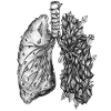 Black and White Crystal Lung