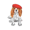 Cavalier King Hatted