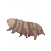Tardigrades Are My Spirit Animal