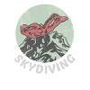 Skydiving Skydiver Skydiver Skydiver Aviation