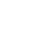 Model flight