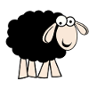 Black sheep