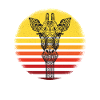 Girafes motif girafe
