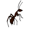 Cartoon ant