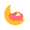 Sleeping Guinea Pig