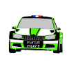 Rally car