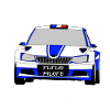 Rally car