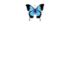 Aesthetic Butterfly Blue - Grunge Soft Grunge