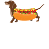 Hot Dog - Chien Weiner Teckel