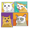 Meme cats