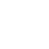 Cat / Cat / Main coon