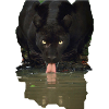 animals