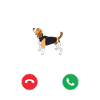 Beagle Hündchen Geschenkidee