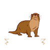 Otter Shirt