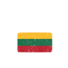 Lithuania Arch Flag Tee