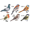 six birds