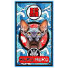 Kuro Neko