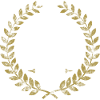 1980 ska oi! skinhead
