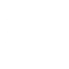 Spaniel portrait