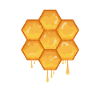 Honey honeycomb bees